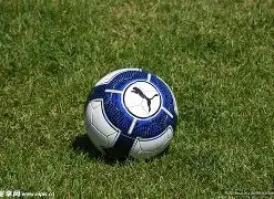 足球知识入,足球运动概,od体育,OD体育,OD体育官网,OD体育官方,OD体育下载