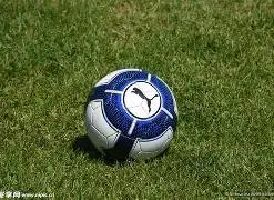 新安县妇联,举办,年度全国低,OD体育,OD体育官网,OD体育官方,OD体育下载