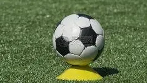 黑龙江省绥化市人大常委会领导浪小辉、李元学接受纪律审查和监察调查